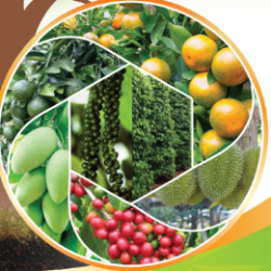 Sản phẩm cho cây trồng