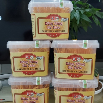 Nấm Đông trùng Hả thảo (Cordyceps militaris) tươi