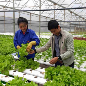 nong-dan-su-dung-cong-nghe-trong-nong-nghiep