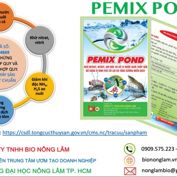 PEMIX POND