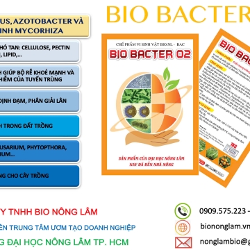BIO BACTER 02 (Dạng rắn)